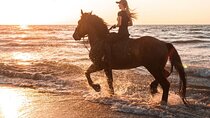Beach Horse Riding Dubai with Transfers