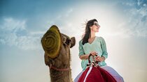 Desert Journey, Experience Camel Ride in desert - Sharm El Sheikh