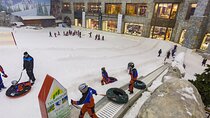 Ski Dubai Snow Plus Entry Ticket