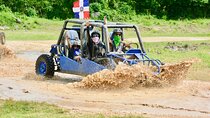Family Buggy Adventure in Punta Cana – Up to 4 People per Vehicle