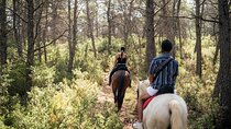 Horseback riding and wine tour (private tour)