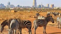 Day tour to Nairobi National Park and Giraffe Centre 