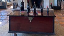 Private Tour: Full Day Wine Tasting in Cape Winelands