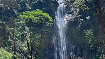 Daytrip Materuni Waterfalls Coffee tour and Kikuletwa Hot Springs