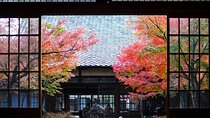 Kyoto Private Tour: One Day Highlights and Cultural Gems