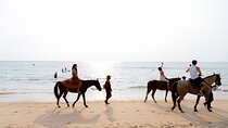 Phuket Beach and Horse Rides 1 Hour Experience