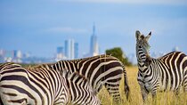 Early Morning Group Joining Safari To Nairobi National Park