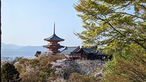 8 Hour Private Tour of Kyoto