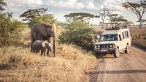 5 Days The Big Five Tanzania Adventure Safari