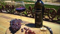 Small Group Wine Tour to Temecula from Los Angeles