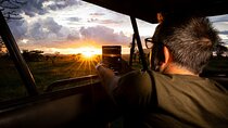 7 Days Tanzania Wildlife Safari & Cultural Tour