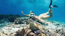 Gili Trawangan Snorkeling with Turtles & Underwater Statue