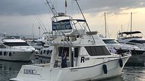 2 Hour Fishing Departure in Marbella, Puerto Banus
