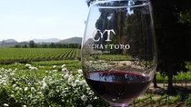 Santiago City & Concha y Toro Vineyard Private Tour