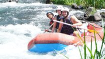Sidemen Bali Private Rafting Tour on Telaga Waja Includes Lunch