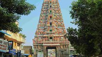 Chennai Full-Day Guided City Tour