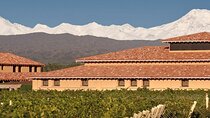 City Tour and Visit to 2 Wineries in Mendoza