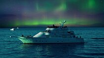 Northern Lights Yacht Cruise in Reykjavik