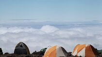 7 Days Machame Route Mountain Kilimanjaro Trekking to Summit