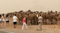 Casablanca: 6 Days DE Private Tour to Sahara Desert