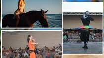Enjoy Horseback Riding, Dinner & Egyptian Show - Sharm El Sheikh