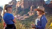 Mogollon Rim Run Supreme Jeep Tour from Sedona