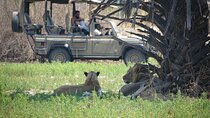 Selous Game Reserve 1-Day Safari with Flights