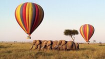 6 Days Group Safari in Mara, Nakuru and Amboseli, Upgraded lodges