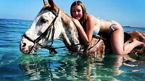 Swimming by Horse 3 Hours ,Beach, Desert, transfer - Hurghada