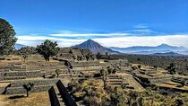 Cantona Archaeological Area Tour from Mexico City