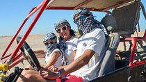 Full Day Safari Buggy, ATV Biking, BBQ and Show