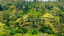 All inclusive Ubud private tour 
