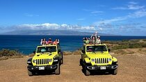 Private West Maui Coastline Open-Air Jeep Tour