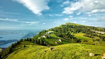 Zurich: Small group to Rigi Queen of Mountains and Lucerne Trip