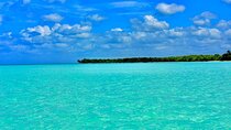 Full day Saona Island with all inclusive and Round trip transfer 