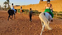 Marrakech Adventure a Horseback Ride through the Palmeraie