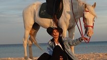 Horse Riding 3 Hours Experience Beach, Desert & Swimming-Hurghada