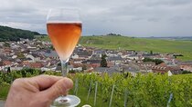 Champagne Tour from Paris by minivan with Reims Cellars & Champagne Tasting