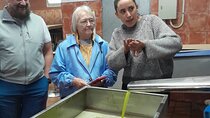 Tarragona private tour & Olive Oil tasting from Barcelona