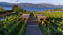 Private Wineries Tour of Kelowna