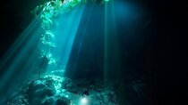 Cenotes El Pit and Nicte Ha Guided Scuba Diving