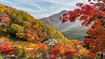 Hwadam Botanic Garden and Namhansanseong and Folk Village Trip