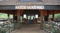 Nairobi Safari Walk Half Day Tour
