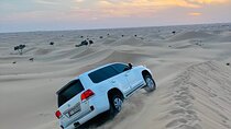 Abu Dhabi: Evening Desert Safari with Camel Ride, BBQ & Live Show