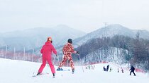 Eobi Ice Valley and Elysian Ski & Board with lesson From Seoul
