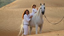 Horseback Ride 2 Hour & Egyptian Show W/Dinner – Sharm El Sheikh