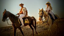 2 Hour Horse Riding Experience in Hurghada