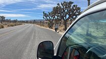 Joshua Tree National Park Private Sightseeing & Adventure Tour