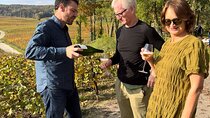 Champagne Tour from Paris with Sommelier and Premium Wineries