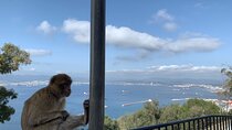 Guided Tour of Gibraltar from the Costa del Sol